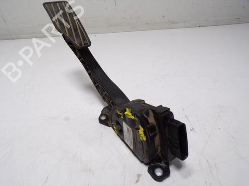 Pedal SUZUKI GRAND VITARA II (JT, TE, TD) 1.9 DDiS (JB419WD, JB419XD) | BP13614734I4 