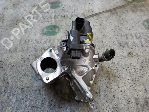 Egr NISSAN QASHQAI / QASHQAI +2 I (J10, NJ10, JJ10E)  | BP3998038M69 