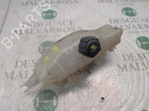 expansion-tank-renault-clio-iii-br01-cr01-14-16v-2005-2006-2007-2008-2009-2010-2011-2012-2013-2014-3807750 main image