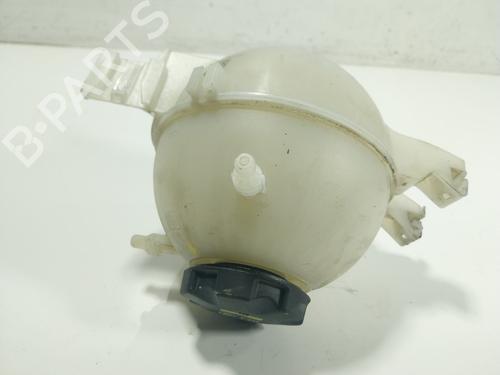 Expansion tank BMW X3 (G01, F97, G08) xDrive 20 d Mild-Hybrid | BP22899264C120 