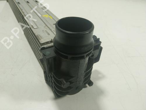 Intercooler RENAULT SCÉNIC III (JZ0/1_) 1.5 dCi | BP18089085M30 