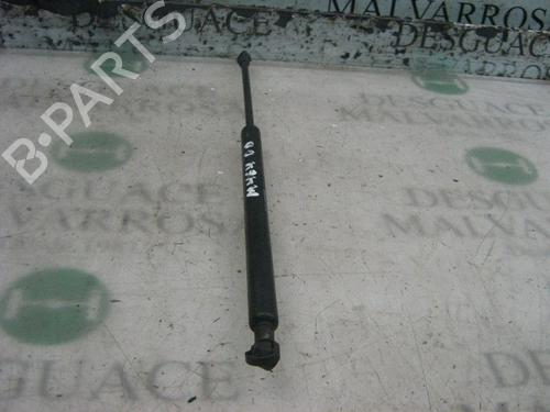 Used Hood lift support CITROËN XSARA (N1) 2.0 HDi 90 (90 hp) 14295367