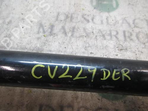 Right front driveshaft VW CADDY III Box Body/MPV (2KA, 2KH, 2CA, 2CH) 2.0 SDI | BP3833588M39 