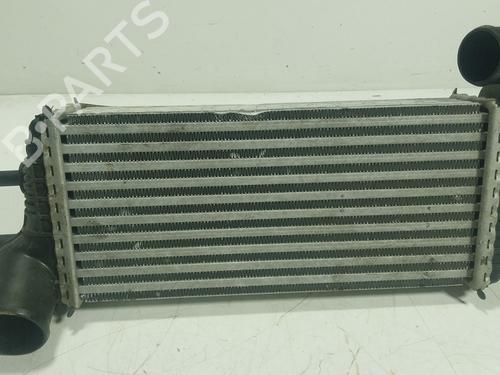 Used Intercooler Intercooler FORD TRANSIT CONNECT V408 Box Body/MPV [2013-2026] 24738391 24738391