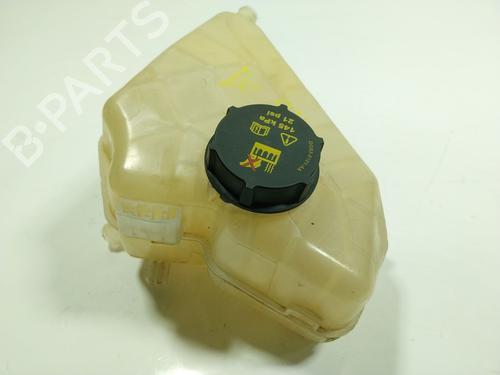 Used Expansion tank FORD ECOSPORT 1.5 TDCi (90 hp) 21179193