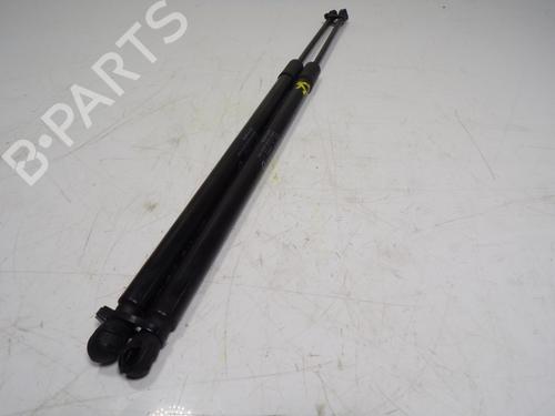 Tailgate lift support OPEL GRANDLAND / GRANDLAND X (A18, P1UO)  | BP14288301C138 