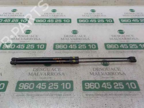 Used Tailgate lift support FORD FOCUS III 1.6 Ti (125 hp) 14283317