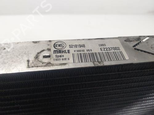 Køler FIAT DUCATO Van (250_) 140 Multijet 2,2 D | BP28021674M31 