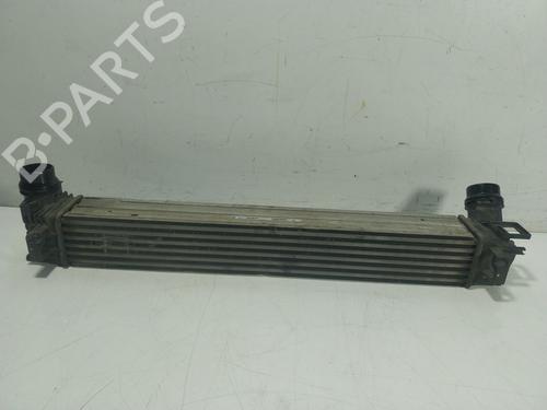 Intercooler RENAULT SCÉNIC III (JZ0/1_) 1.2 TCe | BP20098371M30 