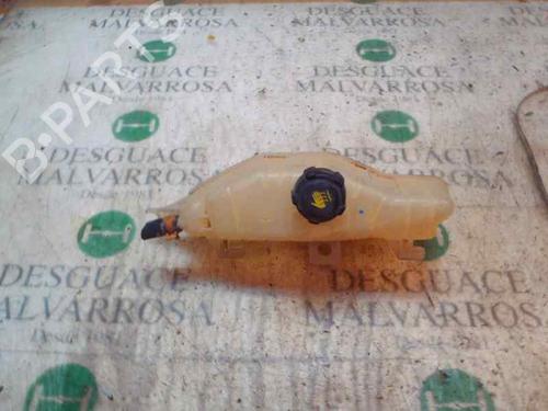 Ekpansionstank Ekpansionstank RENAULT CLIO III (BR0/1, CR0/1) [2005-2014] 3831500 3831500