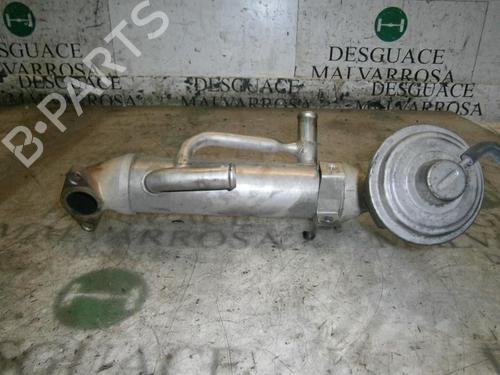Egr FORD MONDEO III (B5Y)  | BP14266782M69 