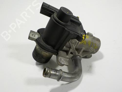 Egr DACIA DOKKER Box Body/MPV  | BP12111748M69 