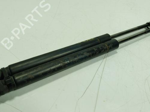 Tailgate lift support BENTLEY CONTINENTAL FLYING SPUR (3W_)  | BP26927668C138 
