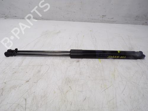 Used Hood lift support LEXUS NX (_Z1_) 300h (AYZ10_) (155 hp) 14287560