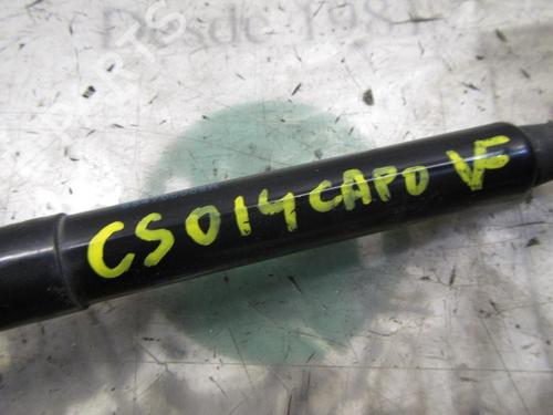 Hood lift support RENAULT SCÉNIC III (JZ0/1_) 1.5 dCi | BP14274574C139 