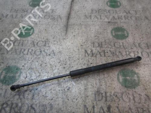 Gassdemper Bakluke TOYOTA YARIS (_P1_) [1999-2005]  14276512