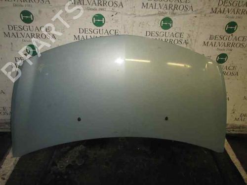 Used Hood RENAULT CLIO III (BR0/1, CR0/1) 1.5 dCi (BR17, CR17) (86 hp) 3842105