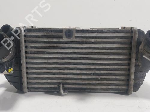 Used Intercooler Intercooler KIA STONIC (YB) 1.0 T-GDi (101 hp) 25032687 25032687