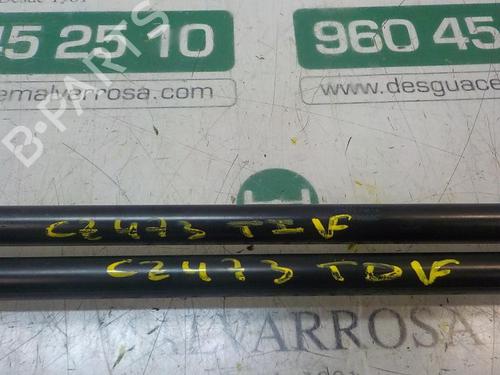 Tailgate lift support NISSAN NOTE (E11, NE11)  | BP14281773C138 