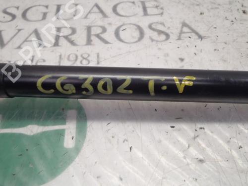 Tailgate lift support PEUGEOT 208 I (CA_, CC_) 1.4 HDi | BP14272527C138 