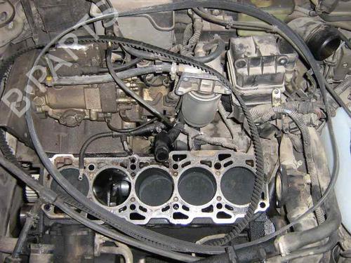  - Image 5
