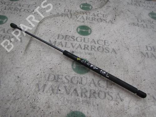 Used Hood lift support SEAT LEON (1M1) 1.9 TDI (110 hp) 14273617