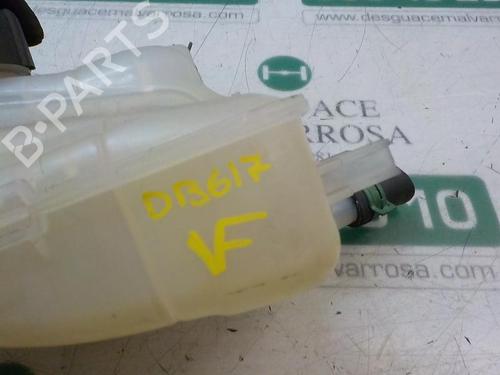 Expansion tank RENAULT MEGANE III Hatchback (BZ0/1_, B3_) 1.5 dCi (BZ1G, BZ1W, BZ0R) | BP4003257C120