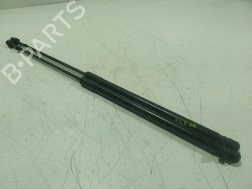 Tailgate lift support LAND ROVER RANGE ROVER EVOQUE Convertible (L538)  | BP23072414C138