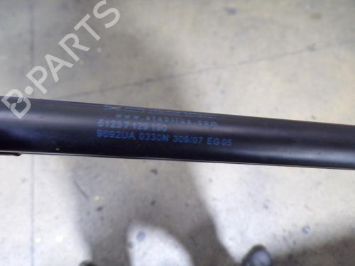 Hood lift support BMW 3 Coupe (E92)  | BP14288080C139 