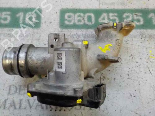 Throttle body RENAULT KANGOO / GRAND KANGOO II (KW0/1_)  | BP5314436M82 