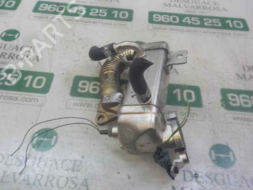 Egr NISSAN X-TRAIL III (T32_, T32R, T32RR) 1.6 dCi (T32) | BP14283962M69 