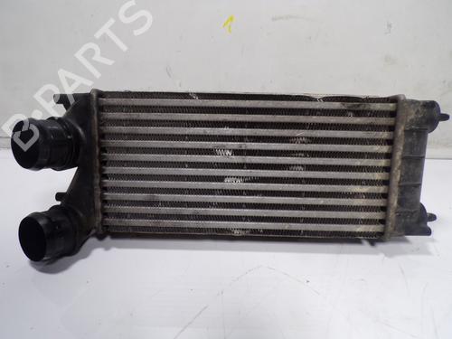 Used Intercooler Intercooler PEUGEOT PARTNER Tepee 1.6 HDi / BlueHDi 75 (75 hp) 10927875 10927875