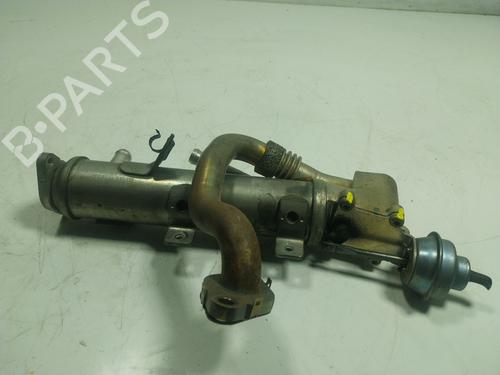 Egr AUDI A5 Sportback (8TA)  | BP18900671M69 