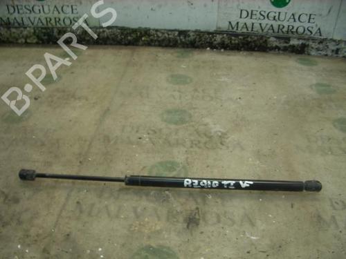 Gasdæmper bagklap OPEL FRONTERA B (U99) [1998-2004]  14265543