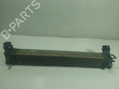 Used Intercooler RENAULT SCÉNIC III (JZ0/1_) 1.2 TCe (116 hp) 22202173