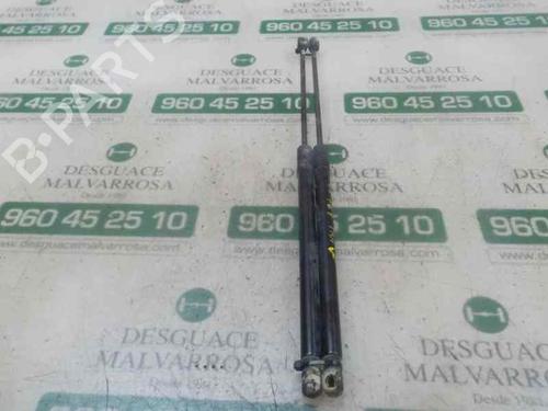 Tailgate lift support FORD FOCUS III  | BP14283783C138 