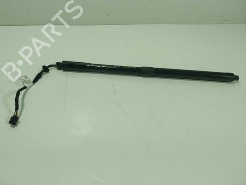 Used Tailgate lift support LAND ROVER RANGE ROVER EVOQUE (L538) 2.2 D 4x4 (150 hp) 24462486