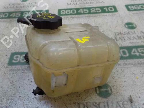 Expansion tank OPEL INSIGNIA A (G09) 2.0 Turbo 4x4 (68) 13220123