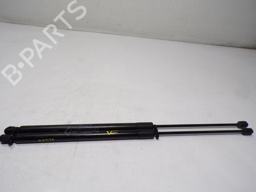 Used Tailgate lift support Tailgate lift support FIAT TIPO Hatchback (356_, 357_) 1.3 D (356HXH1A) (95 hp) 17075763 17075763