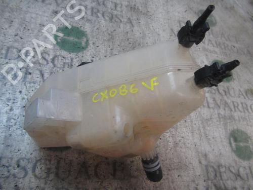 Expansion tank FORD FIESTA VI (CB1, CCN)  | BP3839286C120