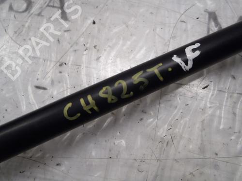 Tailgate lift support FORD FIESTA V (JH_, JD_) 1.3 | BP14272637C138 