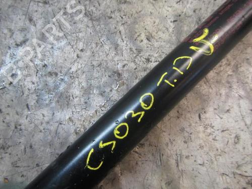 Tailgate lift support CADILLAC SRX 3.6 | BP14274584C138 