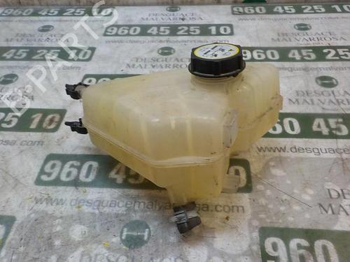 Expansion tank FORD FIESTA VI (CB1, CCN) 1.4 TDCi | BP3859102C120 