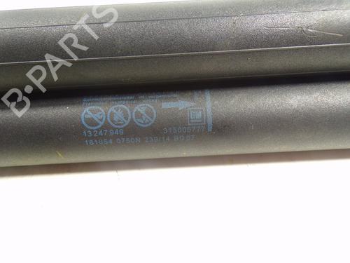 Tailgate lift support OPEL INSIGNIA A Sports Tourer (G09) 2.0 CDTI (35) | BP14285650C138 