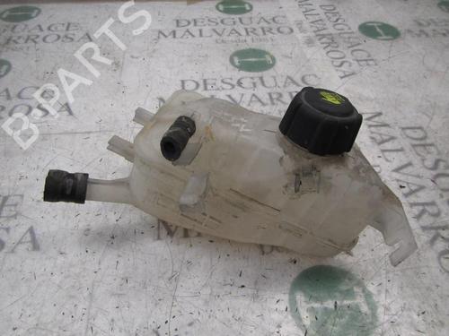Used Expansion tank RENAULT SCÉNIC III (JZ0/1_) 1.5 dCi (106 hp) 3826495