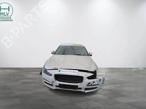 - Image 2