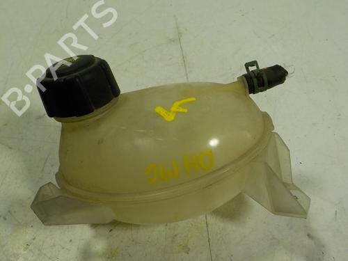 Expansion tank DACIA SANDERO II 1.5 dCi 75 / Blue dCi 75 (B8JW, B8M4, B8AH, B8M7, B8M6) (75 hp) 217104354R