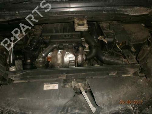  - Image 7