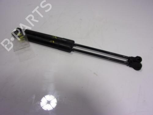 Hood lift support RENAULT KANGOO / GRAND KANGOO II (KW0/1_)  | BP15914520C139