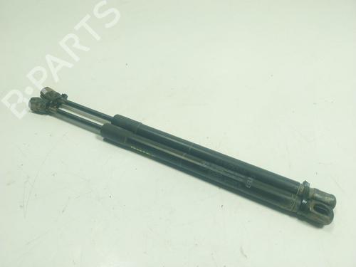 Used Hood lift support Hood lift support BMW X5 (F15, F85) xDrive 25 d (231 hp) 19253505 19253505